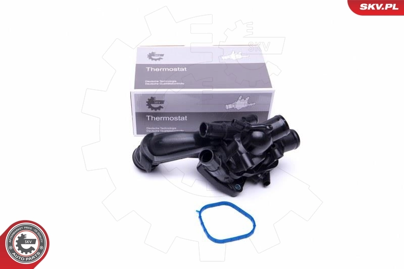 Thermostat, coolant